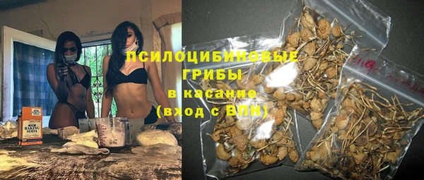 2c-b Костерёво