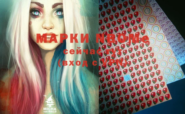 apvp Коряжма