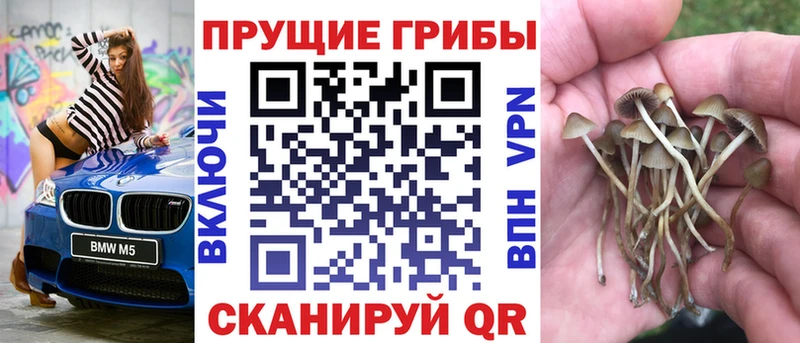 Псилоцибиновые грибы мухоморы  Юрьев-Польский 
